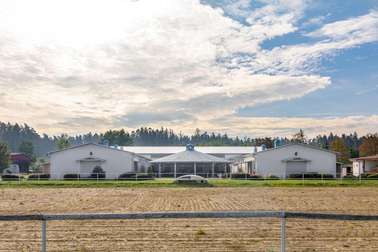Farma Slunecny Dvur Apartmany A Family Stany Strecha Pod Strechou Hermanuv Mestec Kültér fotó