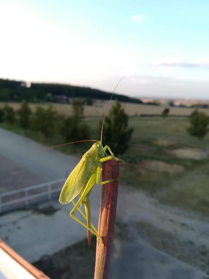 Farma Slunecny Dvur Apartmany A Family Stany Strecha Pod Strechou Hermanuv Mestec Kültér fotó
