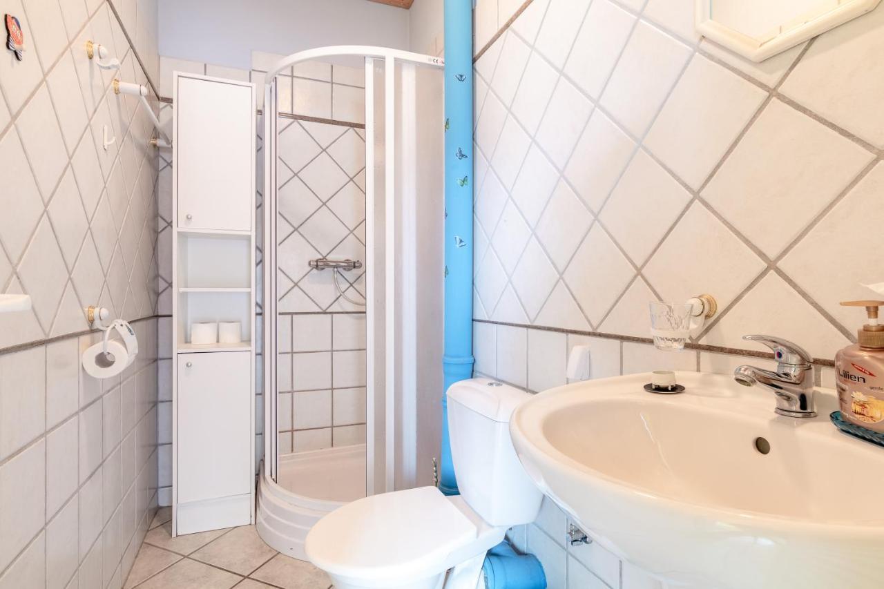 Farma Slunecny Dvur Apartmany A Family Stany Strecha Pod Strechou Hermanuv Mestec Kültér fotó