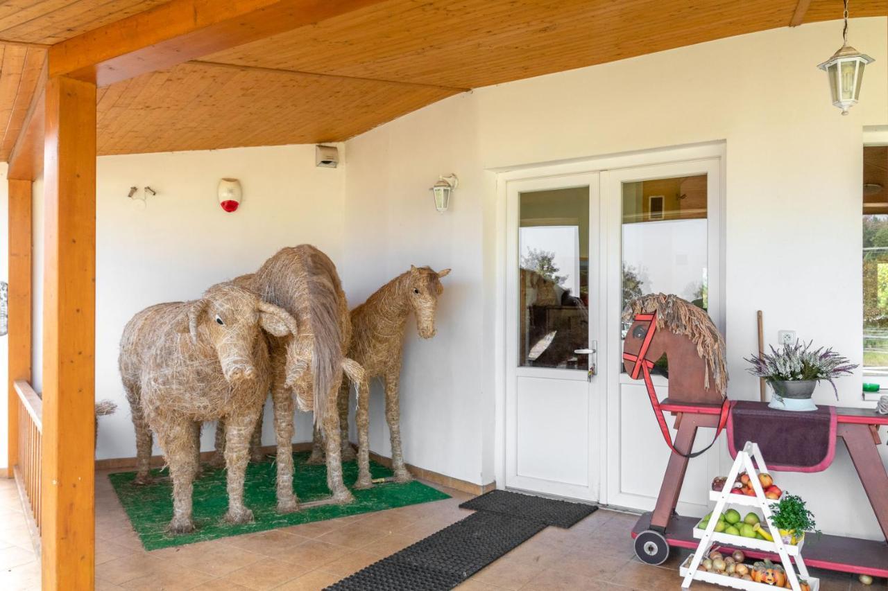 Farma Slunecny Dvur Apartmany A Family Stany Strecha Pod Strechou Hermanuv Mestec Kültér fotó